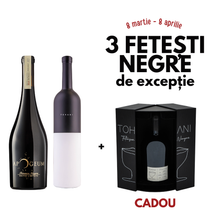 Incarcă imaginea în vizualizatorul Galerie, Apogeum 2021, Tohani FN Premium + Vinoteca Tohani FN 2000 cadou