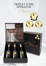Incarcă imaginea în vizualizatorul Galerie, Apogeum Triple D’OR 2019-2020-2021