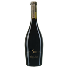 Incarcă imaginea în vizualizatorul Galerie, Apogeum 2015